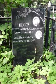 Шор Петр Александрович, Москва, Востряковское кладбище